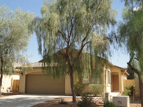 45115 W Desert Cedars Ln Photo 1