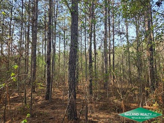 5th image of 0 Cypress School Rd