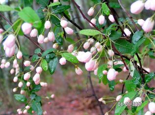 000 Hwy 53 E, Tate, GA 30143