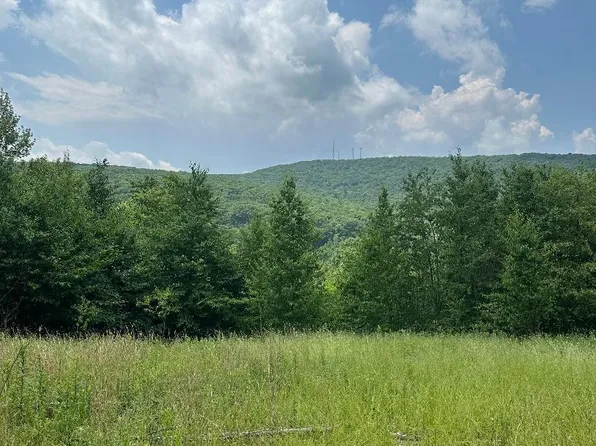 58 Summit Woods Rd, Moscow, PA 18444