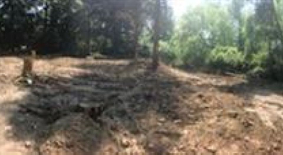 1st image of 31707 Alameda Dr