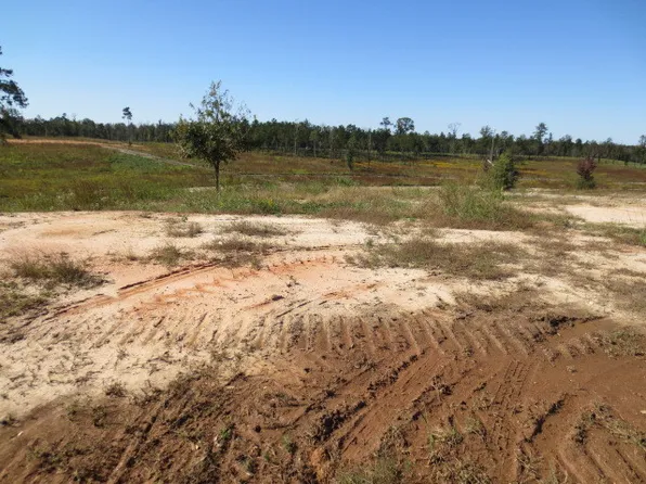 95 Joan Dr, Ellisville, MS 39437