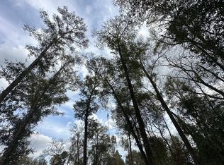 Tbd Sw Newark Dr, Fort White, FL 32038