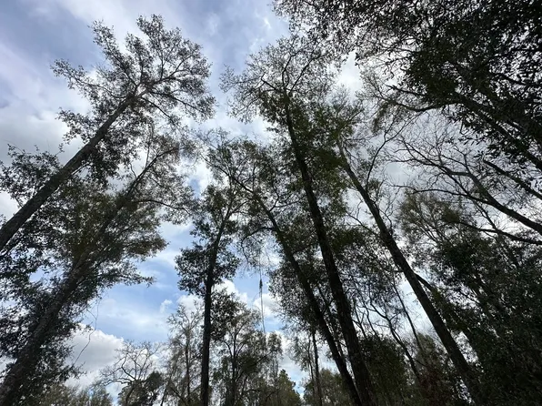 Tbd Sw Newark Dr, Fort White, FL 32038
