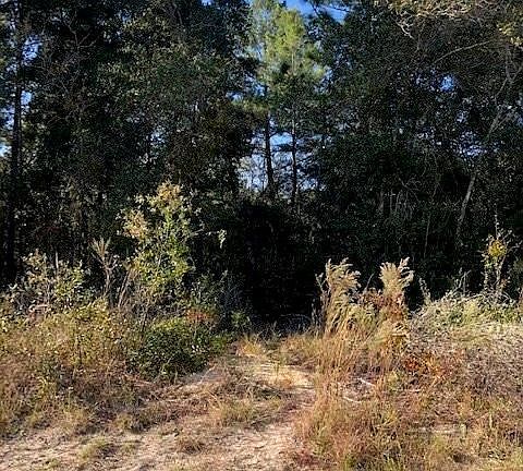 4th image of 2804 W Deltona Blvd
