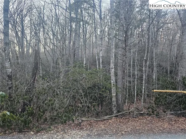 483 Greenbriar Loop, Newland, NC 28657