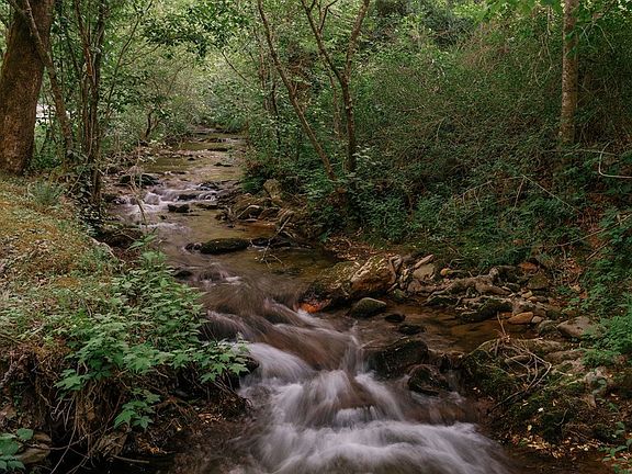3rd image of 174 Little Rock Creek Ct