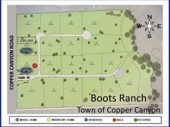 42 Cameron Ct, Argyle, TX 76226