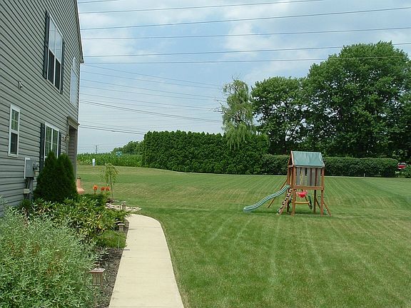 back yard