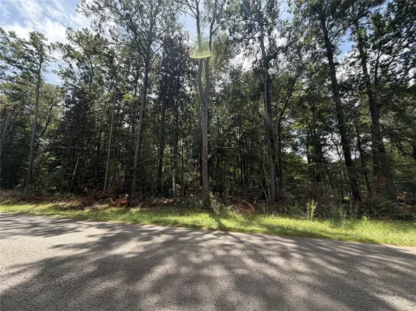 0 W Black Gum Ln, Village Mills, TX 77663