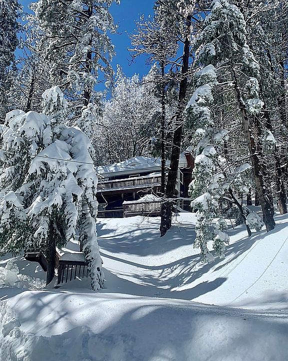 Magical winter