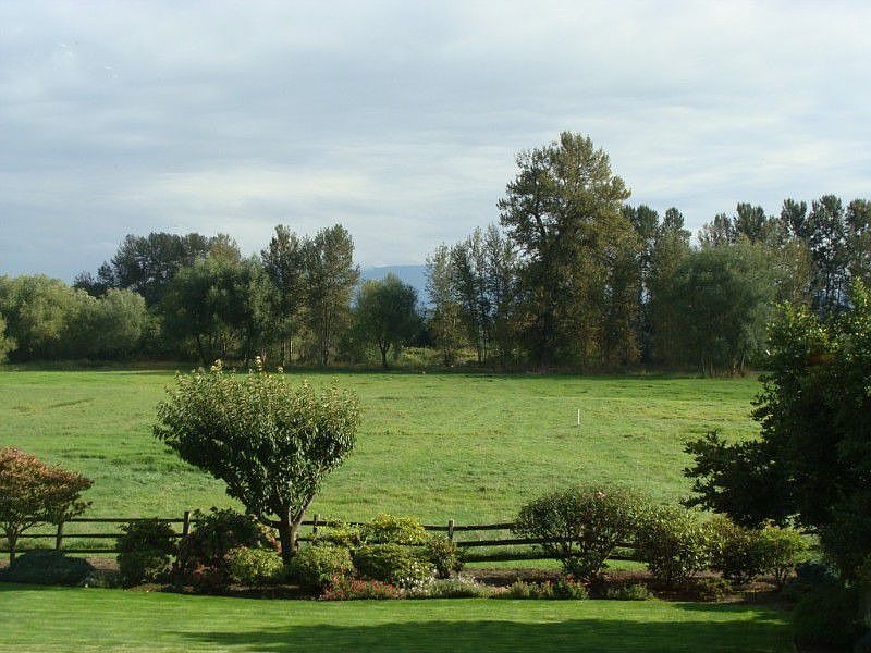 The pastoral view outside living area windows. Association owns the land all the way to the Nooksack