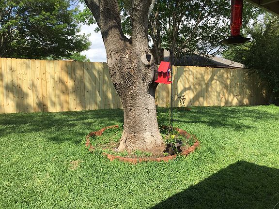 4th image of 10020 Farmers Branch St