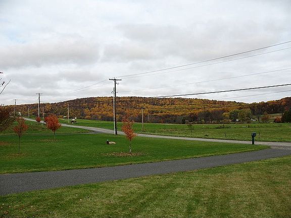 Looking up the hill from the front yard