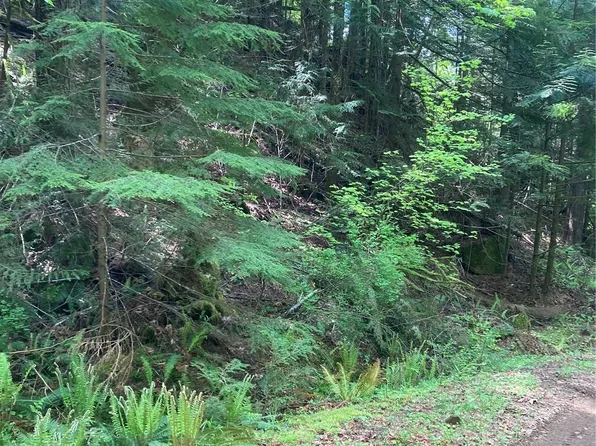 12 Dow Ridge Road, Hoodsport, WA 98548