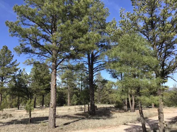 LOT 4 E Elk Dr, Ramah, NM 87321