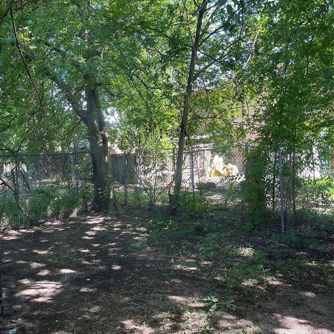 3 bed, 1.0 bath, 928 sqft, $1,500 — Photo 2