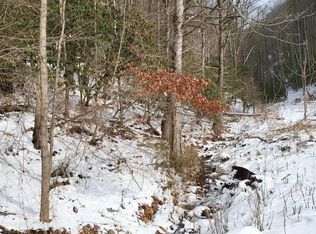 1271 Upper Higgins Cr Rd, Flag Pond, TN 37657