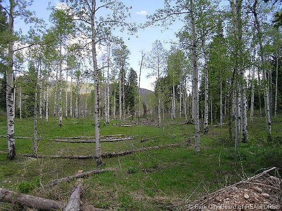 2nd image of 2097 Pine Meadow Dr