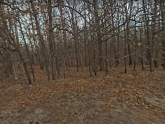 3rd image of Walmer Ln