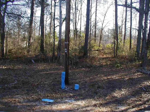 Maple Ave, Johnsonville, SC 29555