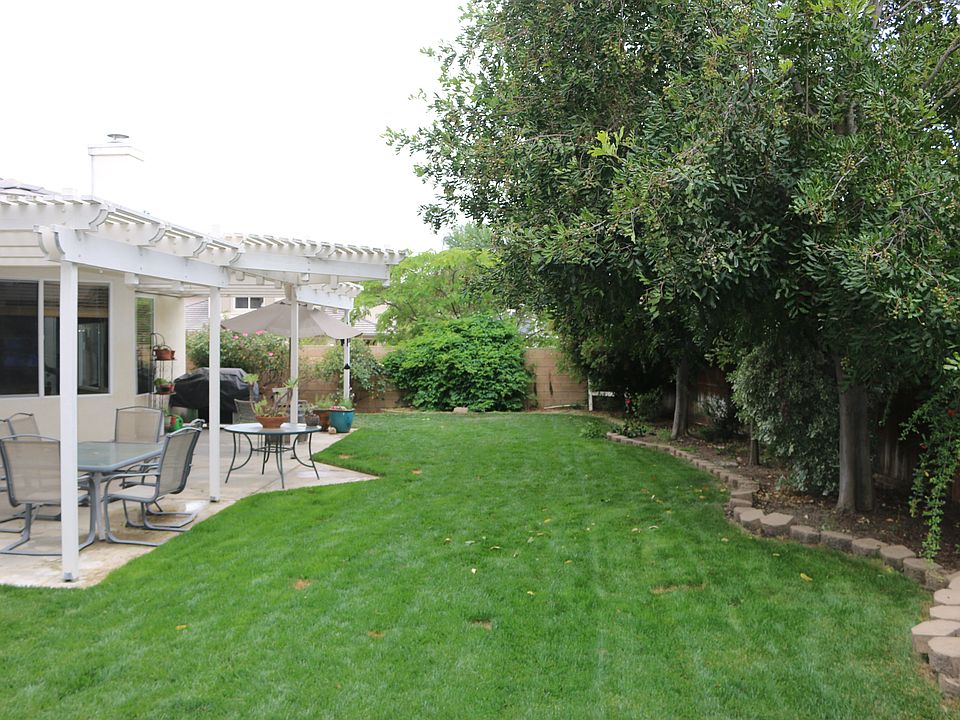 Large Backyard