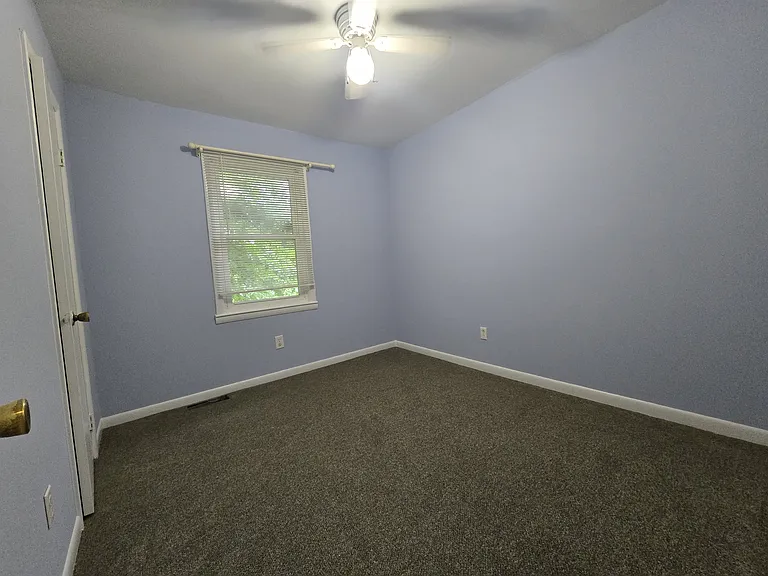 1645 White Dr — Photo 10