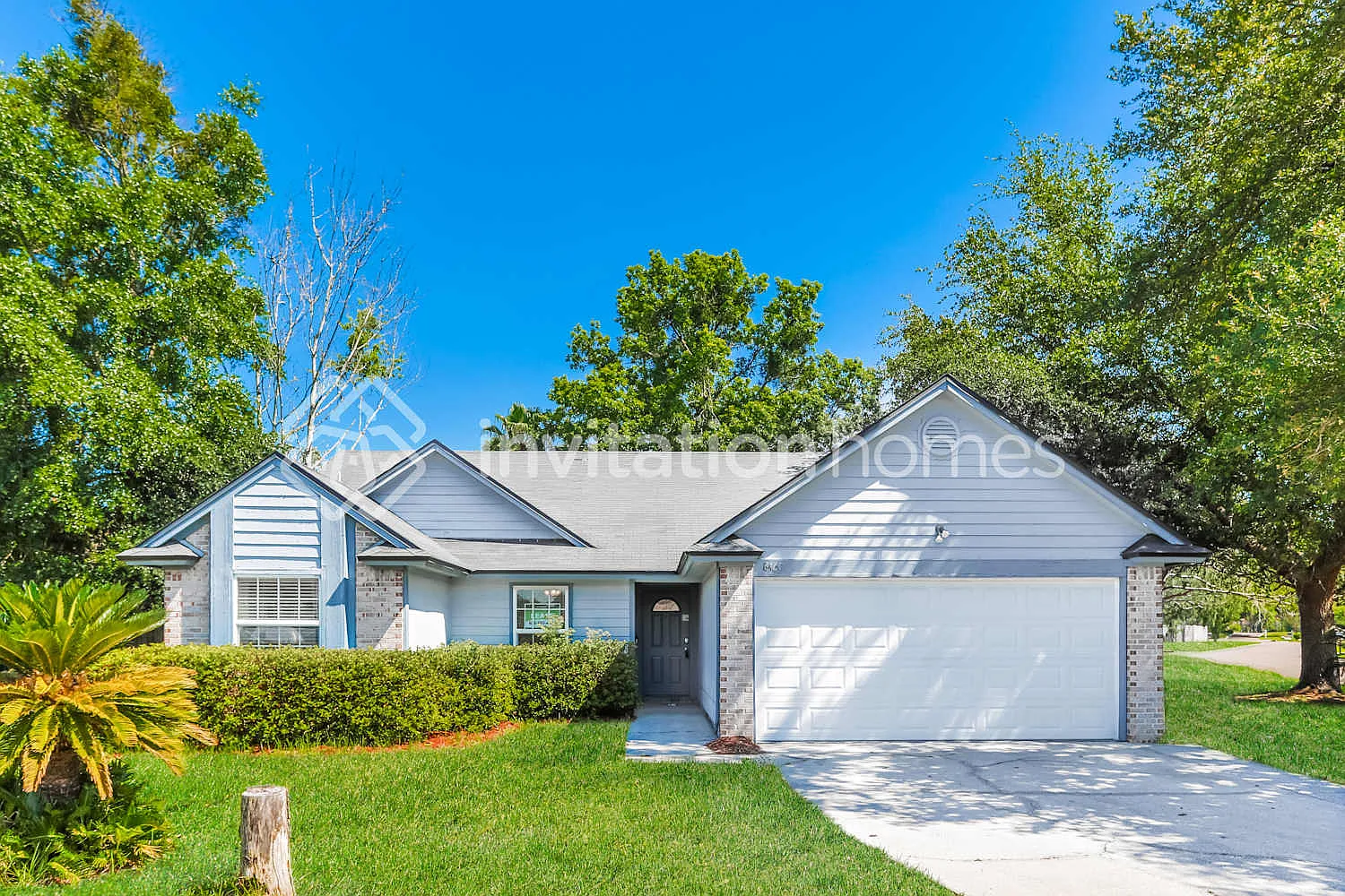 8460 Branchwater Dr Jacksonville, FL 32244 — Photo 1