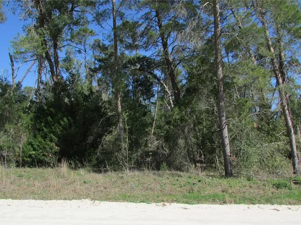 0 SE 140TH AVENUE, WILLISTON, FL 32696