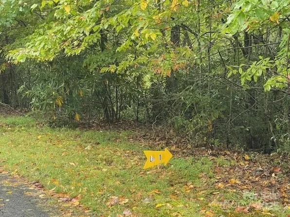 0 McDonald Ct #L-1, Pisgah Forest, NC 28768