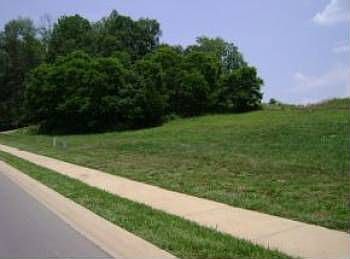 3rd image of 2562 Grand Oaks Dr
