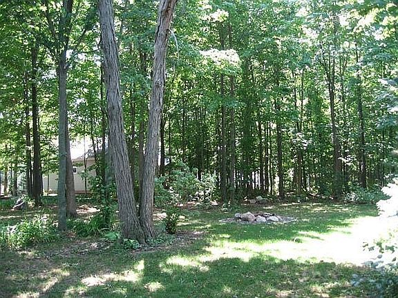 Wooded yard with fire pit