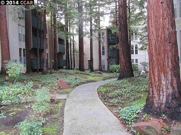 2nd image of 155 Sharene Ln APT 208