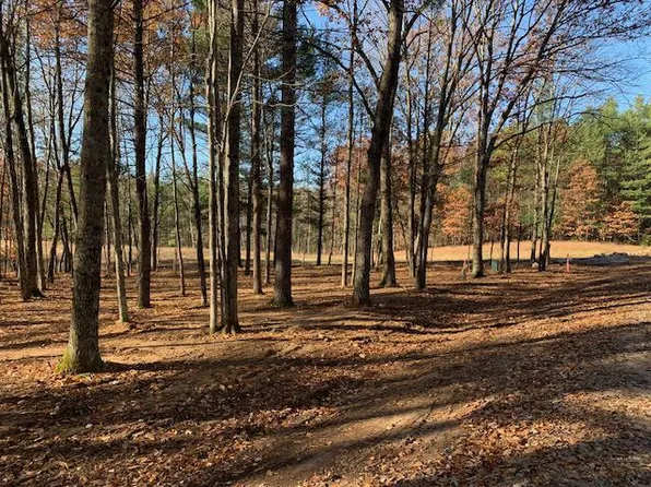 Lt1 - Lt2 CARRIE LANE, Pound, WI 54161