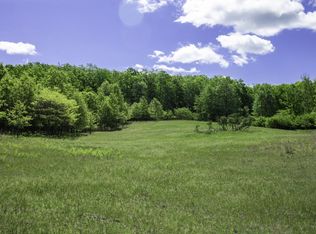 8629 N Irons Rd LOT WP001, Irons, MI 49644