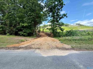 2609 County Road 239, Valley Head, AL 35989