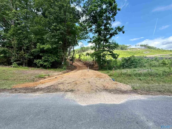 2609 County Road 239, Valley Head, AL 35989