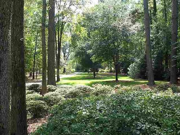 Beautifuly Landscaped