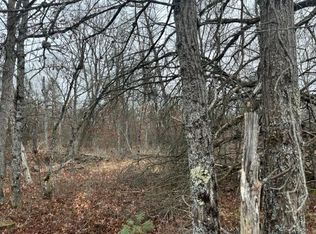 PARCEL Dorsey Dr #A, Baldwin, MI 49304