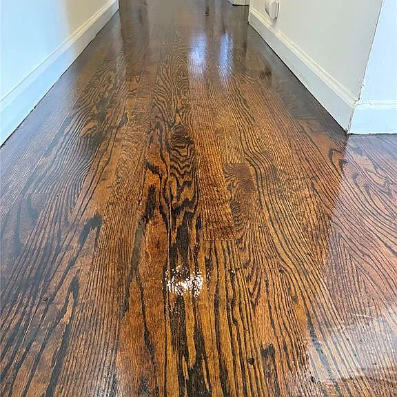 1285 Pamela Dr — Photo 6