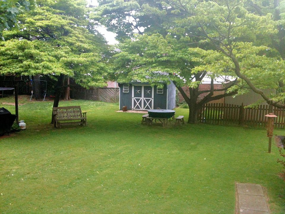 Backyard 3