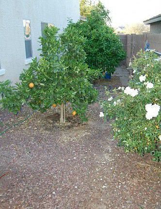 5th image of 2873 E Anika Dr
