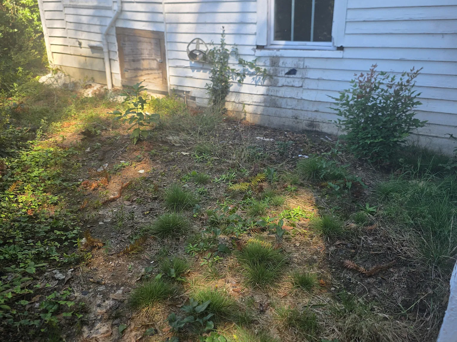 1 bed, $700 — Photo 4