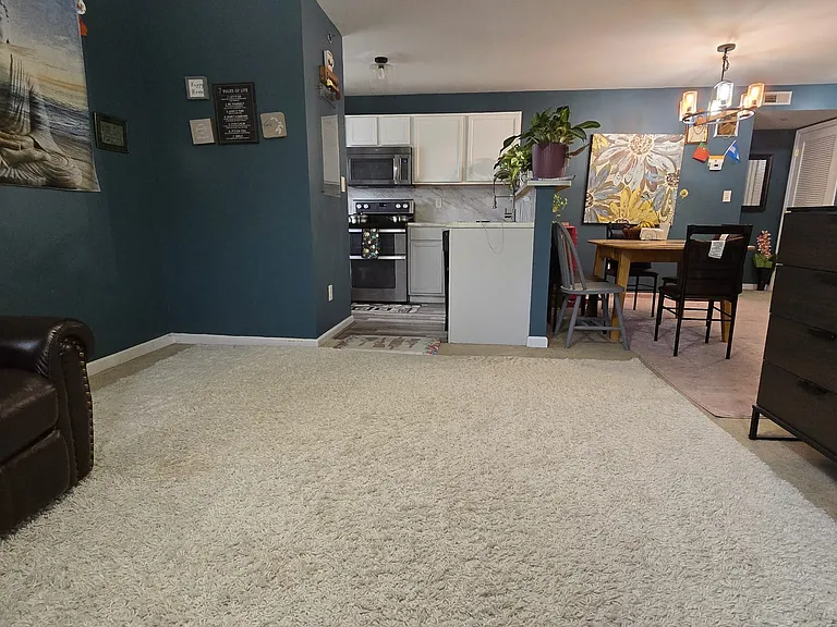 9201 Spring Creek Ln — Photo 9