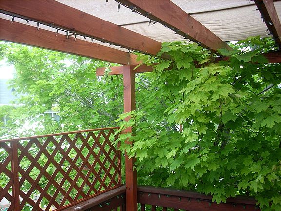 Covered Deck