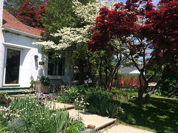 Lovely trees in garden