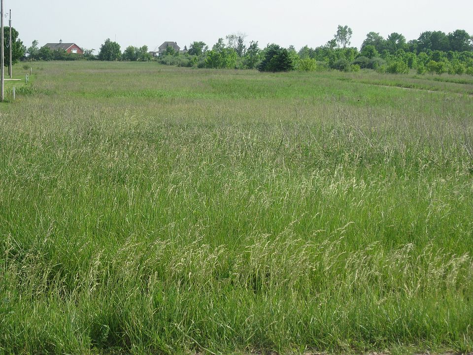 1st image of 0 New Holland St