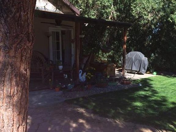 Back yard