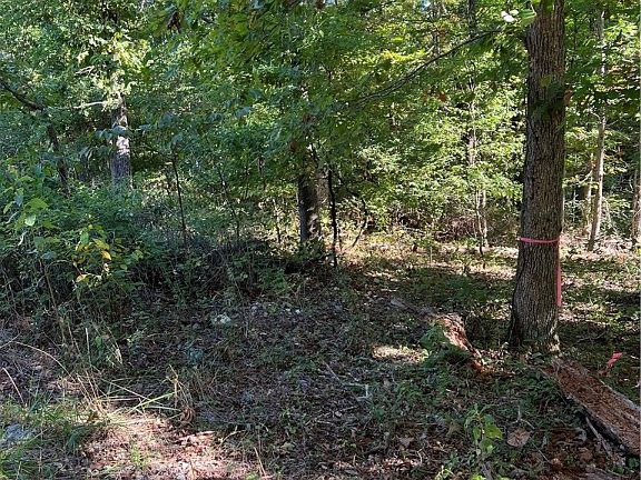 5th image of Rothbury Ln #11