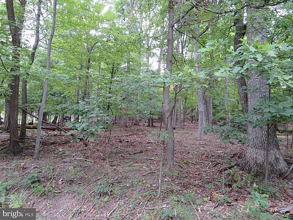 4th image of LOT 11 Audubon Rd